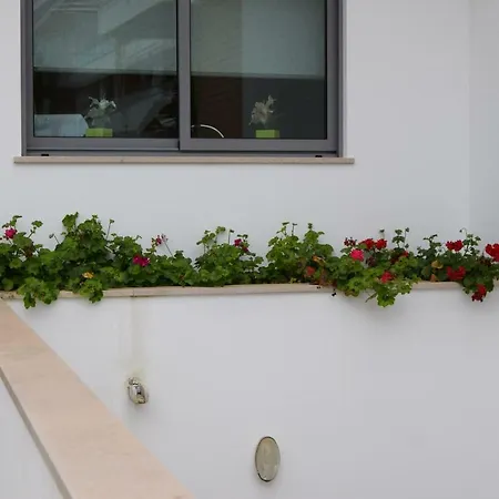 Casa vacanze Branca *