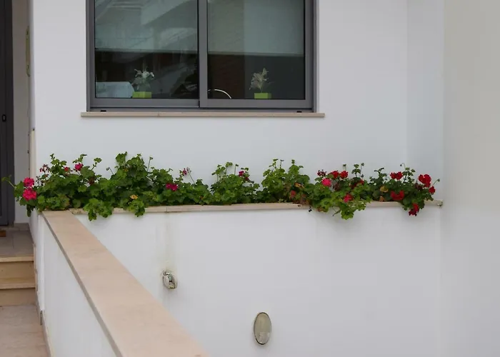 Casa vacanze Branca *